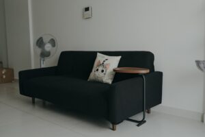 Elevated Pet Wellness: Luxury Home Scenting Protocols